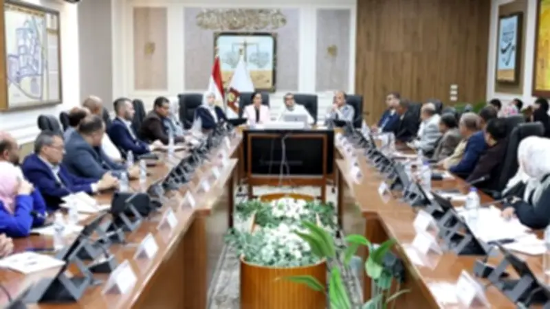 محافظ الوادي الجديد تلتقي نائب جنوب سيناء لتنفيذ مشروع التطوير المؤسسي