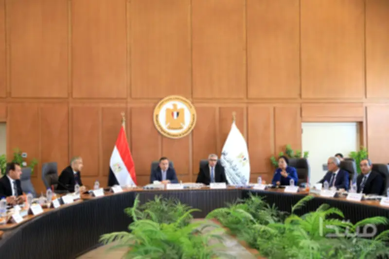 التعليم العالي يوسع التعاون الدولي والتحول الرقمي في الجامعات المصرية