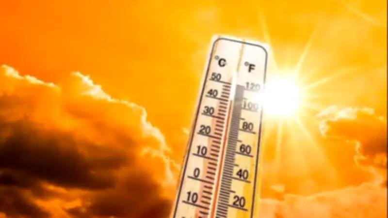 الطقس غداً: حار نهاراً وبارد ليلاً مع شبورة مائية كثيفة