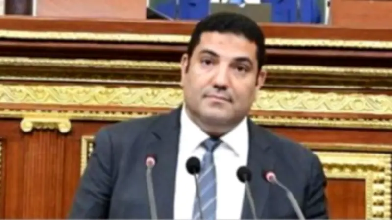 برلماني: لقاء السيسي برئيس جامعة هيروشيما خطوة استراتيجية للتعليم