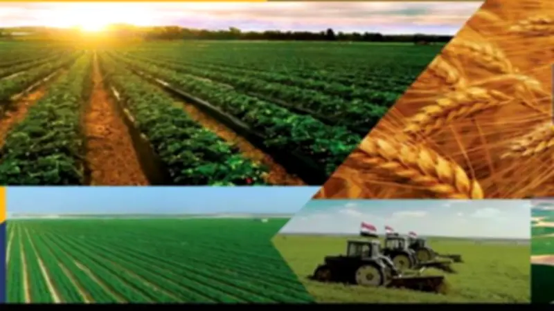 مشروع مستقبل مصر للزراعة المستدامة.. شريان حياة جديد للاقتصاد المصري