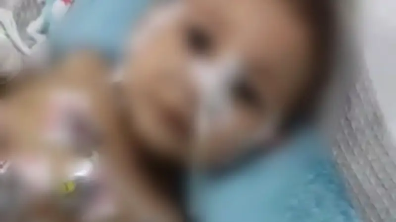 أسرة طفلة الصف تناشد الصحة: أنقذوها تحتاج معدة صناعية بعد استئصال معدتها