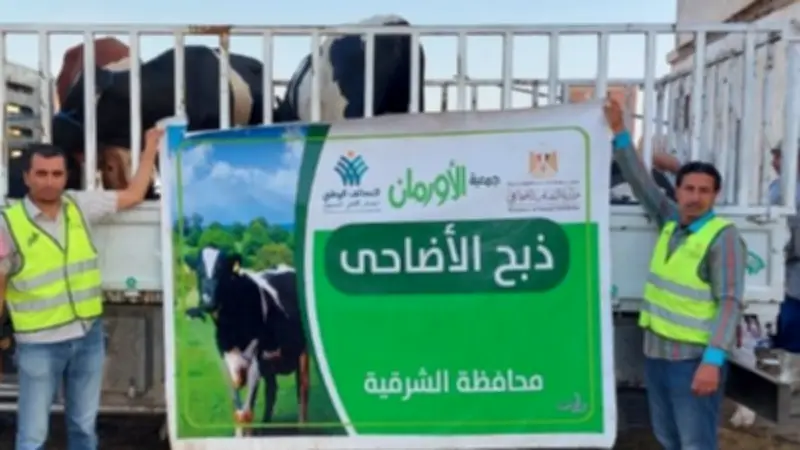 خطة لتوزيع آلاف الأضاحي على الأسر الأولى بالرعاية في الشرقية