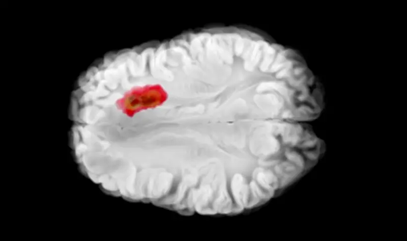 دراسة حديثة تكشف: فيتامين معين يعزز المناعة لمحاربة أخطر أنواع سرطان الدماغ