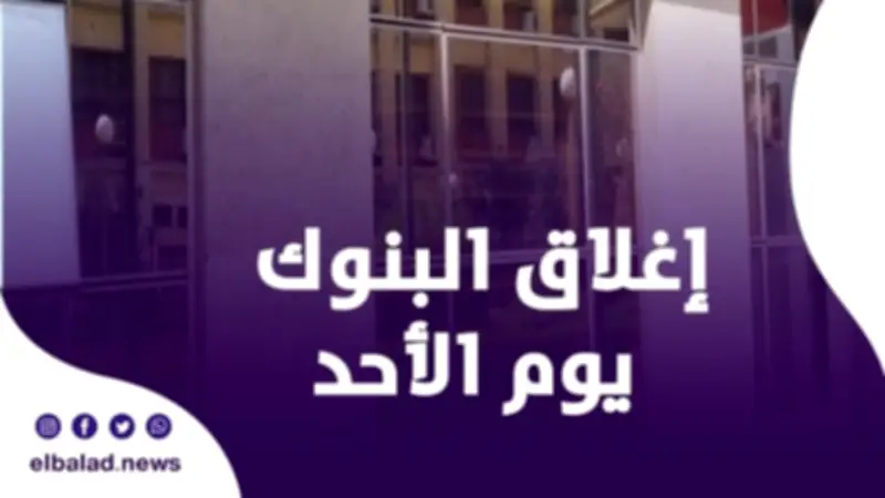 البنك المركزي المصري يوضح حقيقة إغلاق البنوك يوم الأحد مع تطبيق العمل عن بُعد