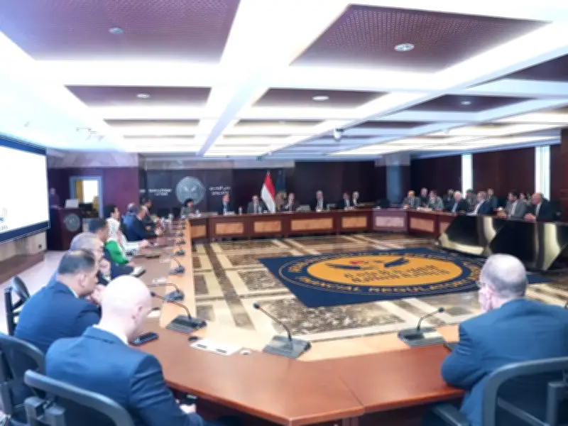 الرقابة المالية تبدأ مراجعة شاملة للضوابط المنظمة لنشاط التمويل العقاري