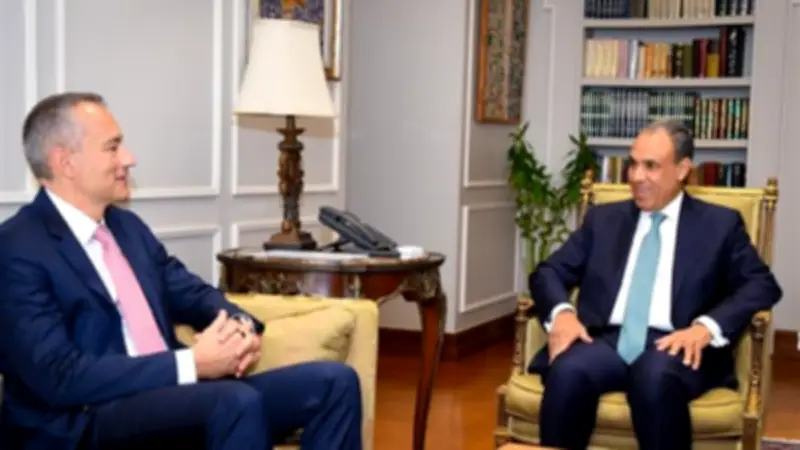 وزير الخارجية المصري يؤكد ضرورة نشر قوة دولية لمراقبة وقف إطلاق النار بغزة