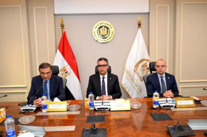 اجتماع وزاري ثلاثي يبحث تحقيق الاستقرار في الأسواق المصرية