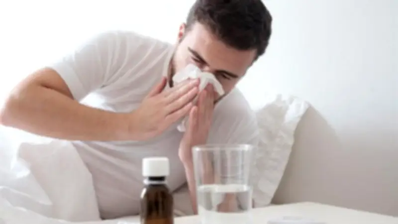 ورق الغار: عشبة منسية تحارب البرد والسرطان وتقوي الجهاز التنفسي