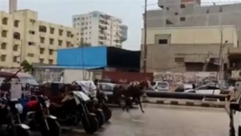 تقلبات جوية عنيفة تضرب المنصورة وأمطار متفرقة تغطي مناطق واسعة من مصر