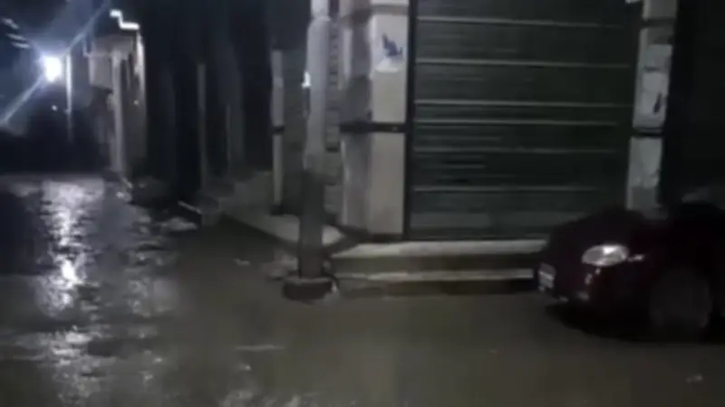 أمطار متواصلة تضرب المنصورة مع أجواء باردة وتقلبات جوية في مصر