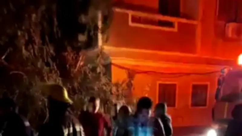 رياح عاتية تسقط شجرة ضخمة على منزل في المنيا وتدخل عاجل للحماية المدنية