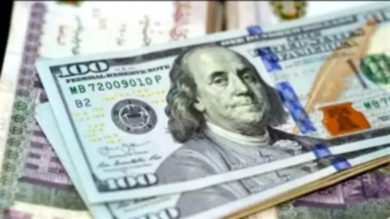 استقرار نسبي للدولار في البنوك المصرية مع توقعات بمواصلة الضغوط