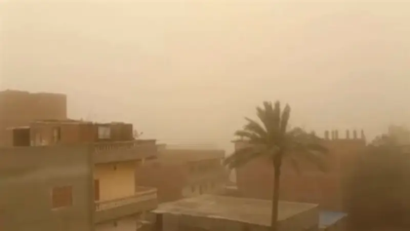 رياح محملة بالأتربة تضرب محافظة الدقهلية وسط تقلبات جوية غير مستقرة