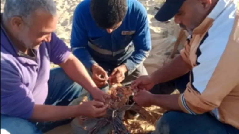 تعطل الخطوط الأرضية للخط الساخن بمياه المنيا بسبب عاصفة قوية وأمطار غزيرة