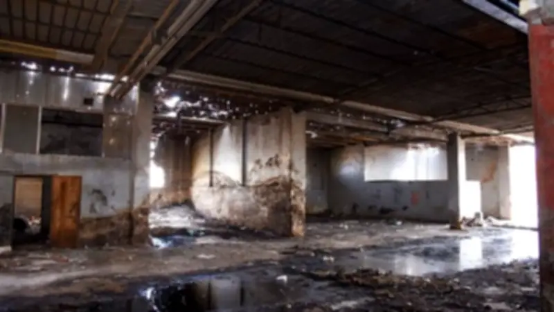 مديرة الطب البيطري المقالة بالإسكندرية تطالب بتحقيق شامل في أزمة مجزر الخديوي