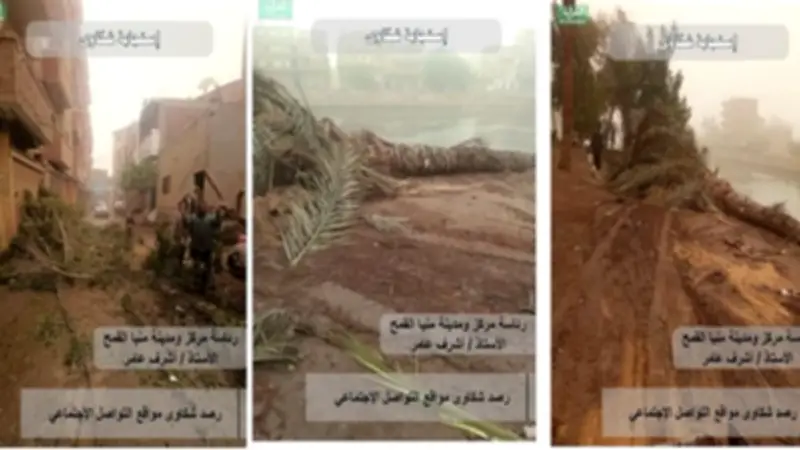 محافظ الشرقية يوجه برفع الأشجار والأعمدة المتهالكة فورًا لمواجهة التقلبات الجوية