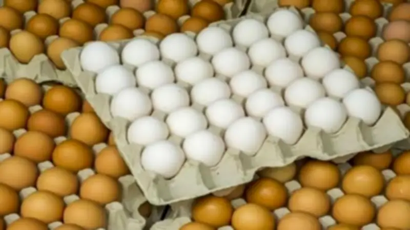 استقرار أسعار كرتونة البيض اليوم في بورصة الدواجن مع اقتراب شم النسيم