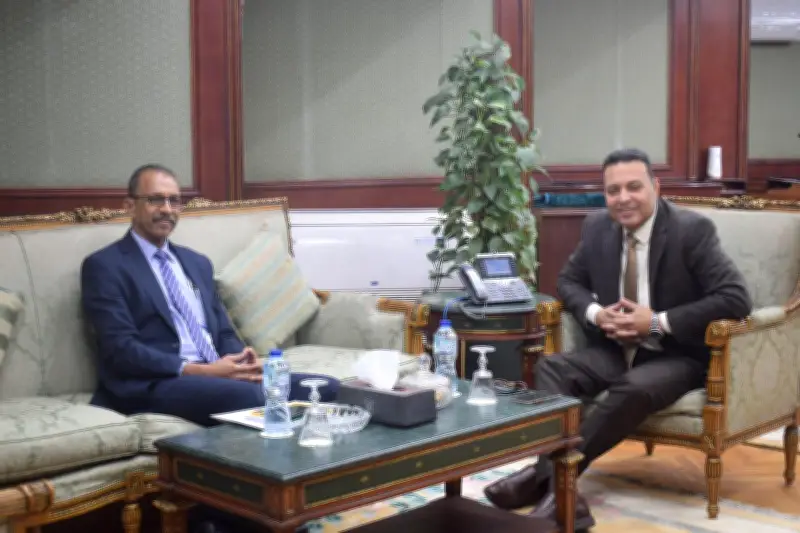 الإحصاء المصري يقدم خبراته الفنية لدعم مسار التعافي الوطني في السودان