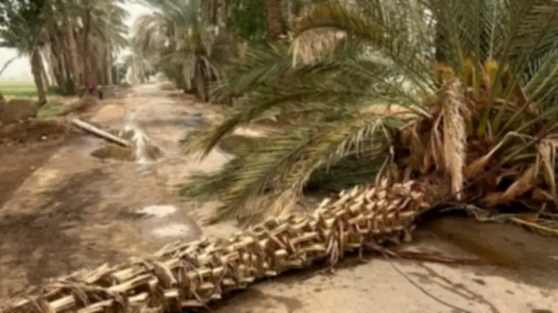 إعادة فتح طريق طراد النيل بالبرجاية في المنيا بعد إزالة عوائق الطقس