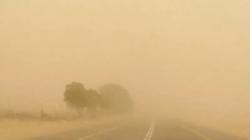 الأرصاد تحذر من شبورة مائية كثيفة ورياح مثيرة للأتربة مع استمرار فرص الأمطار