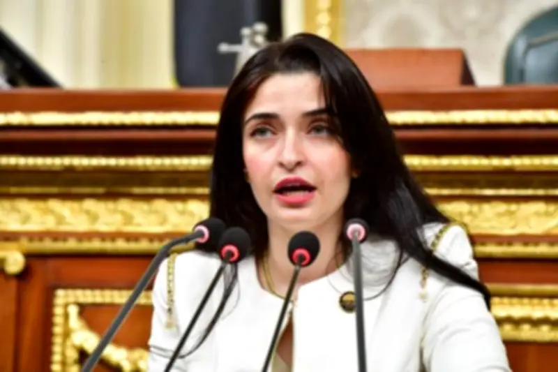 مطالب برلمانية بالتوسع في الطاقة المتجددة لتحقيق الاكتفاء الذاتي وتقليل فاتورة الاستيراد