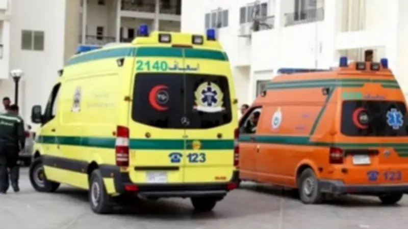 مأساة في البداري: مصرع طفلين بعد سقوط نخلة على تروسيكل بأسيوط