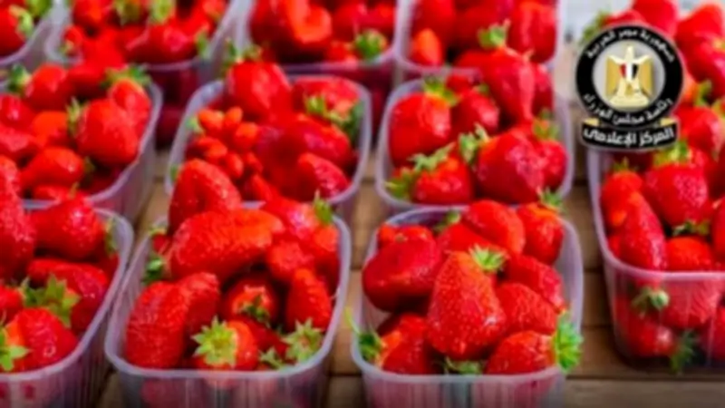 مجلس الوزراء ينفي رفض شحنات الفراولة المصرية بسبب مواد مسرطنة ويؤكد جودتها