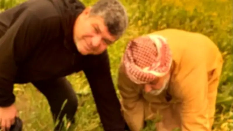 مديرية الزراعة بالإسماعيلية تتابع المحاصيل وتفتح أسواق الأوروجواي للصادرات