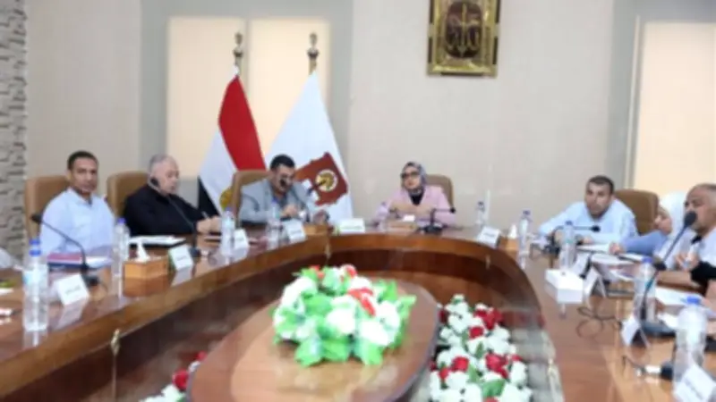 محافظ الوادي الجديد تشدد على توافر السلع الأساسية والجاهزية لموسم حصاد القمح