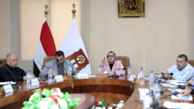 محافظ الوادي الجديد تشدد على توفير السلع الأساسية والجاهزية لموسم حصاد القمح