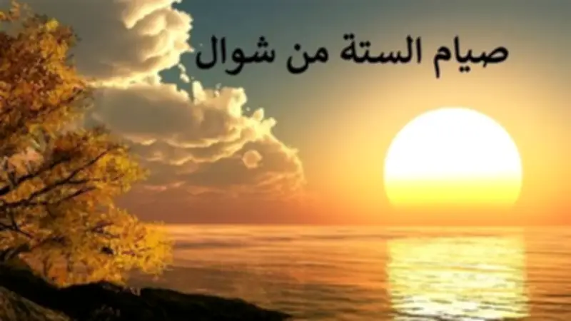 دار الإفتاء توضح حكم تبييت النية والتتابع في صيام الست من شوال