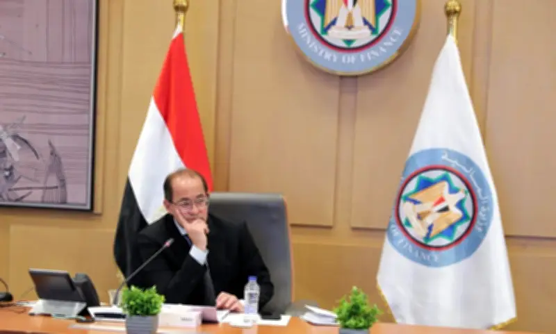 وزير المالية: موازنة مرنة مع زيادات كبيرة للصحة والتعليم في مصر