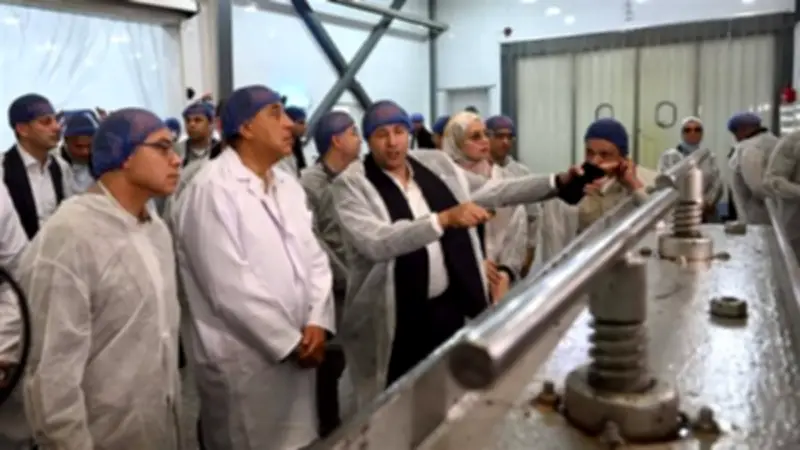 وزير الاستثمار يؤكد على دعم قطاع التمور لتعزيز الصادرات العالمية