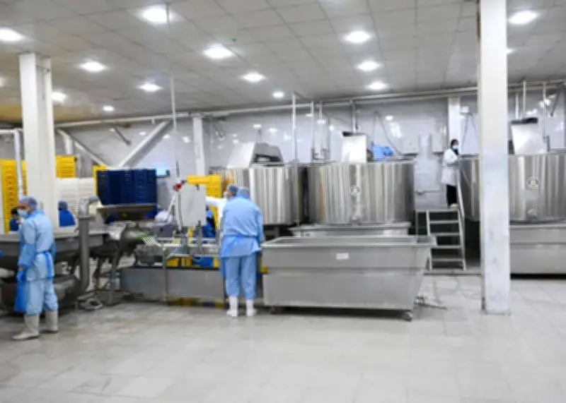 وزير الاستثمار: الصناعات الغذائية ركيزة أساسية في هيكل الاقتصاد القومي