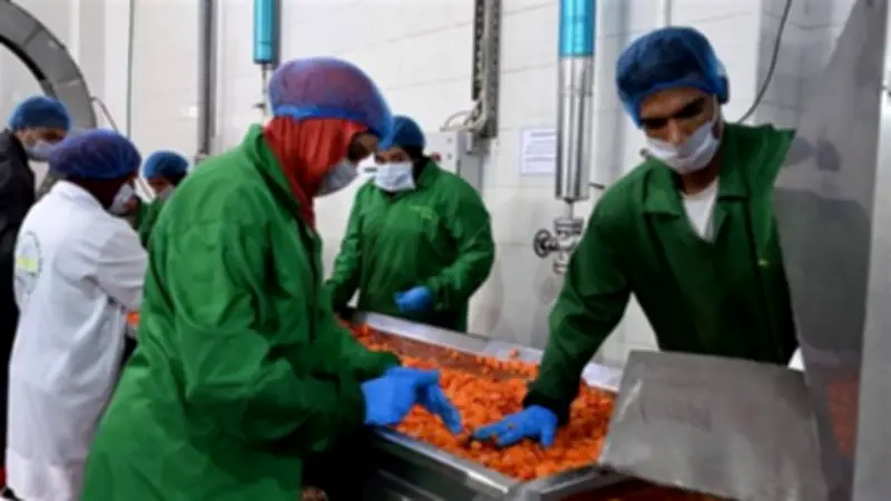 وزير الاستثمار يؤكد: التصنيع المتطور للمحاصيل الزراعية محور استراتيجية تعزيز الصادرات