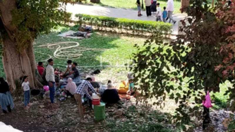 غدًا تتفتح الزهور: كيف نستمتع بأجواء فصل الربيع في مصر؟