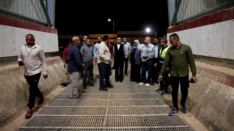 محافظ الوادي الجديد توجّه بتبكير استلام القمح في الصوامع استعدادًا لموسم الحصاد المبكر