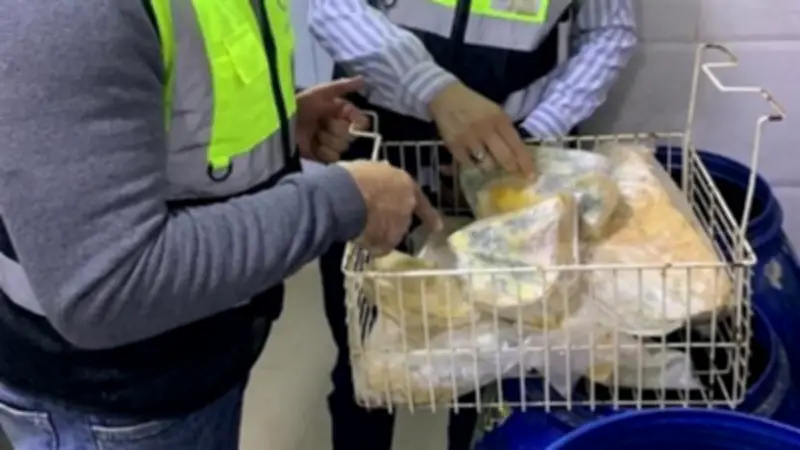 حملة رقابية موسعة بالغربية تضبط نصف طن جبن فاسد ومكملات غذائية محظورة