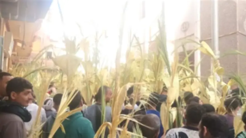 بالسعف والتيجان.. الآلاف يحتفلون بأحد الشعانين في كنائس المنيا