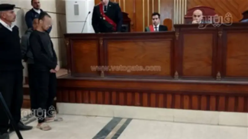 محكمة جنايات الزقازيق تصدر حكمًا بالسجن المؤبد لسائق اختطف طفلة واعتدى عليها