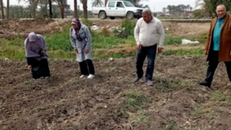 الفيوم تنظم زيارات ميدانية لمتابعة محصول القطن في طامية وسنورس