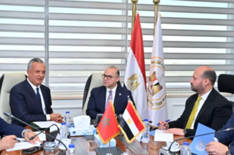محمد فريد: مشاورات مكثفة للارتقاء بالاستثمارات المشتركة بين مصر والمغرب