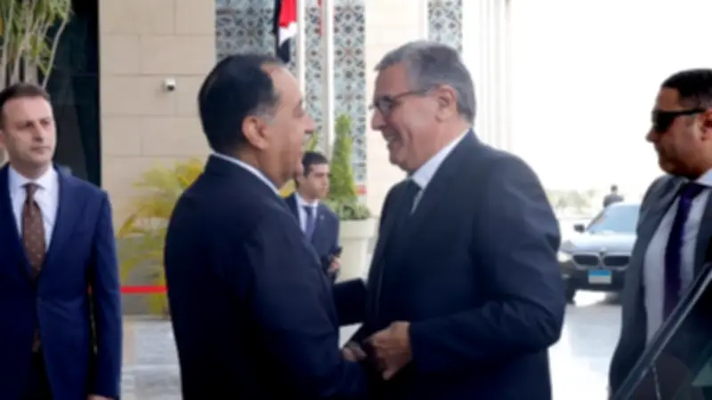 مصر تثمن دور الملك المغربي في دعم القدس والمبادرات الأفريقية