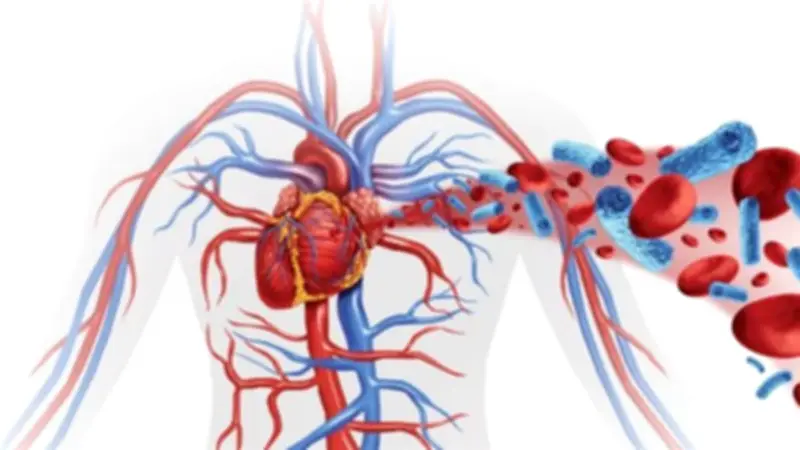 وصفات طبيعية فعالة لتنشيط الدورة الدموية وتحسين صحة الجسم