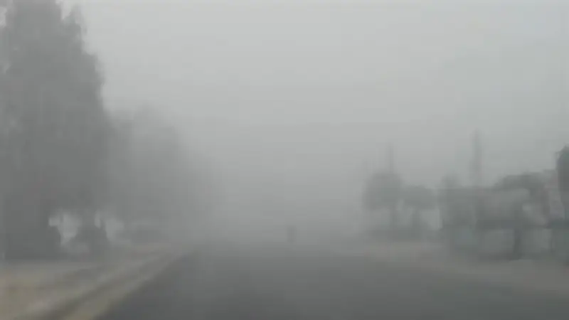 الأرصاد تحذر من شبورة مائية كثيفة شمال البلاد ومدن القناة وشمال الصعيد غدًا