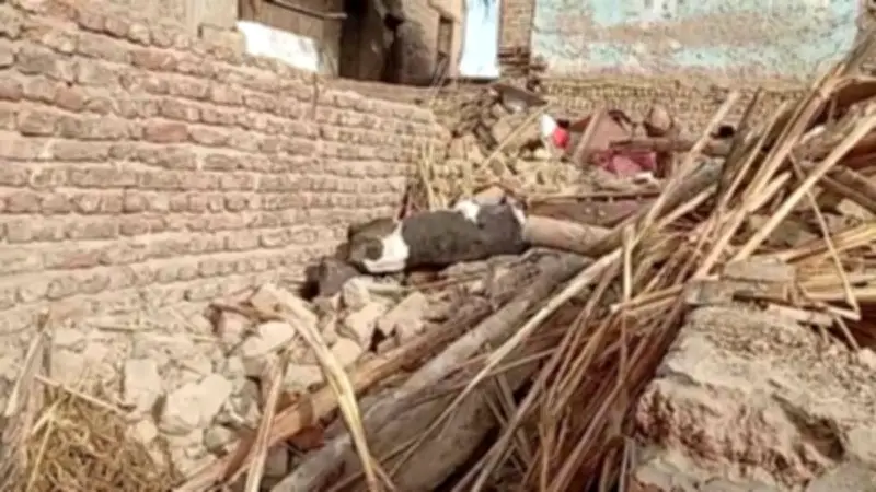 انهيار منزل من طابقين في الأقصر دون إصابات بشرية ونفوق للماشية