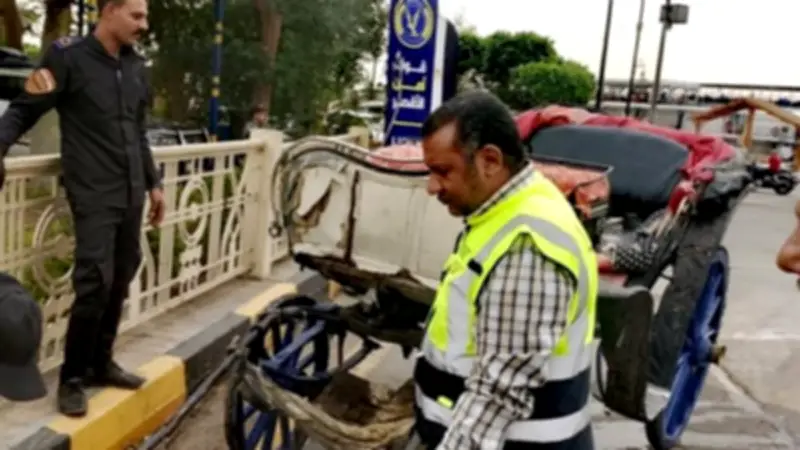 الأقصر تشن حملة موسعة لضبط عربات الحنطور المخالفة وإزالة المطبات العشوائية