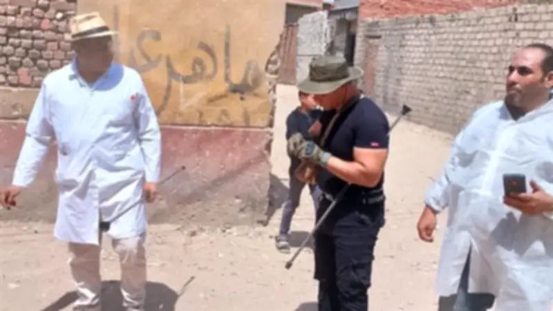 لجنة بيطرية بالجيزة تتحرك لتحصين الكلاب الضالة والبحث عن كلبة مسعورة في الصف