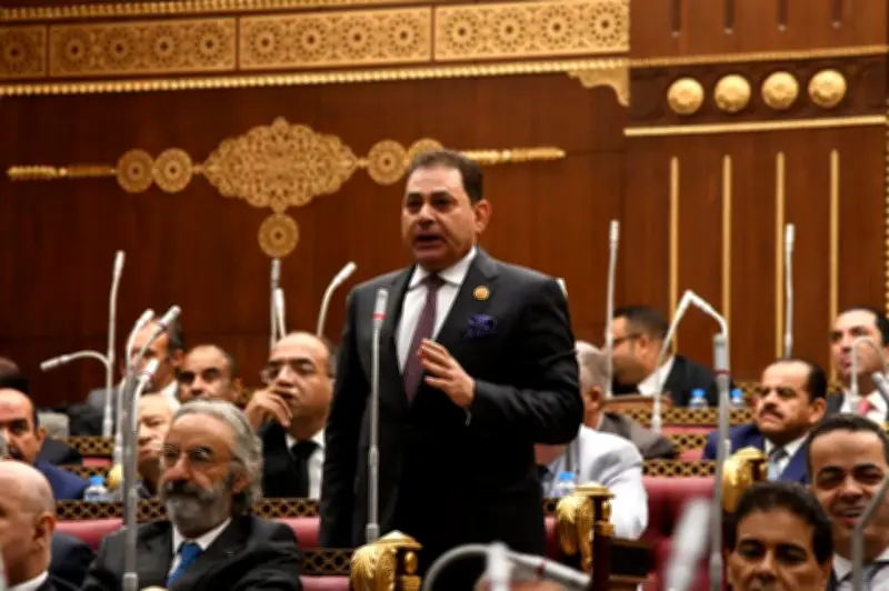 النائب فرج فتحي: مصر لعبت دورًا محوريًا في تعليق العمليات العسكرية بين واشنطن وطهران